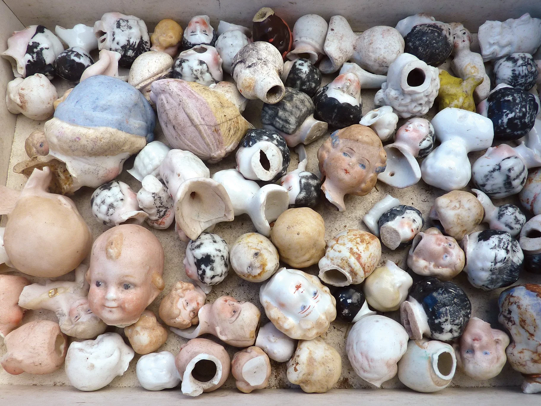 dollheads.jpg