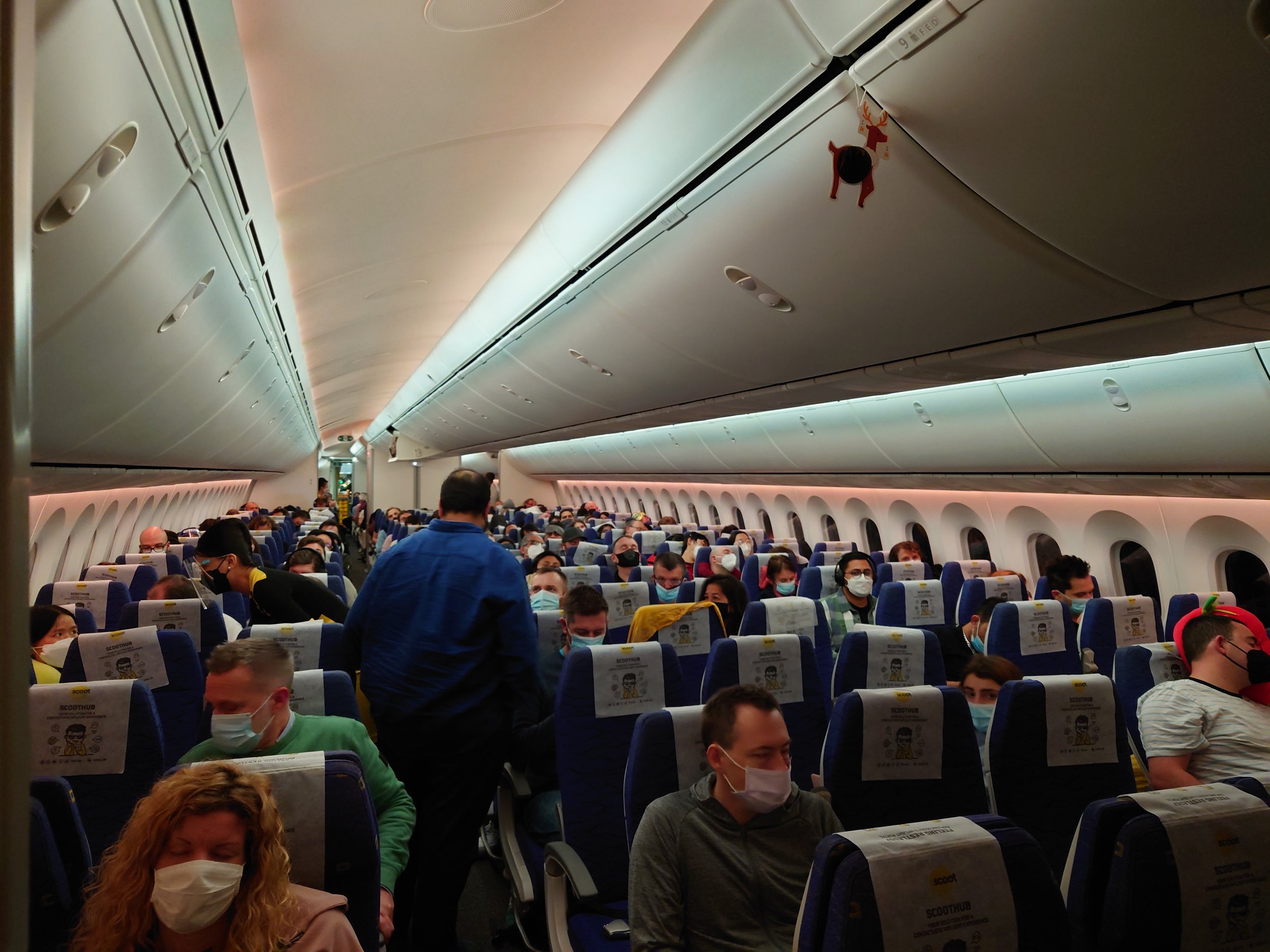 Scoot surprises on long-haul: a review of Scoot's 787 Economy