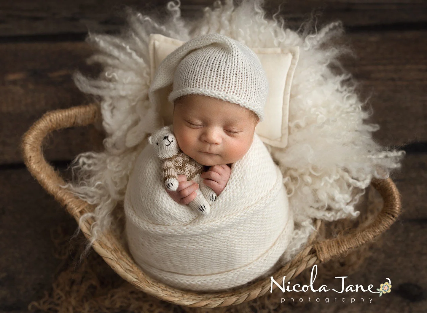 Colorado said &ldquo;no cold weather this winter,&rdquo; but this little guy still showed up ready for full-on hibernation chic 🐻❄️✨
Snuggled, smug, and absolutely living his best cozy-season life &mdash; even if there isn&rsquo;t a snowflake in sig