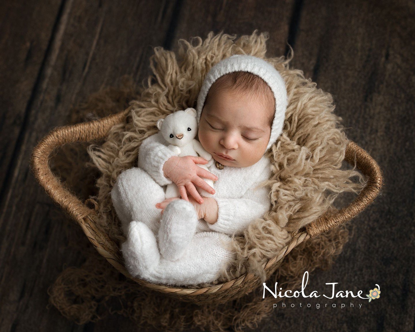 Which image would YOU choose? Bear or no bear?