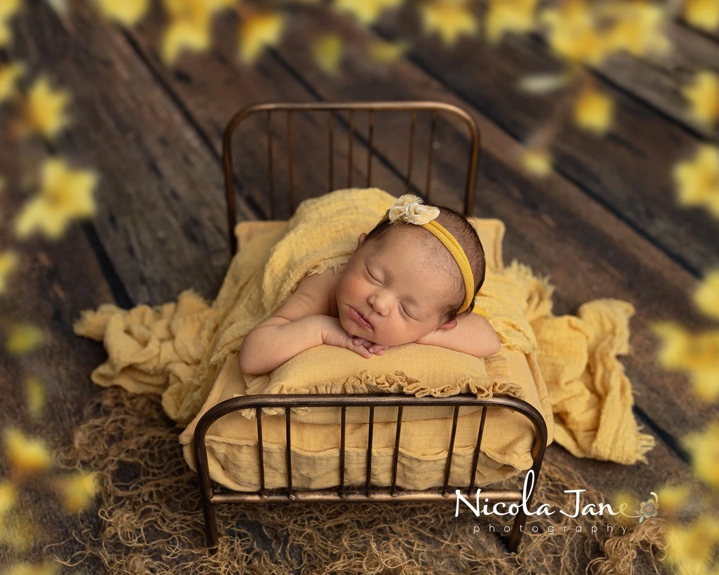 A sweet, soft Spring image for your Saturday evening! You're welcome! 🌼