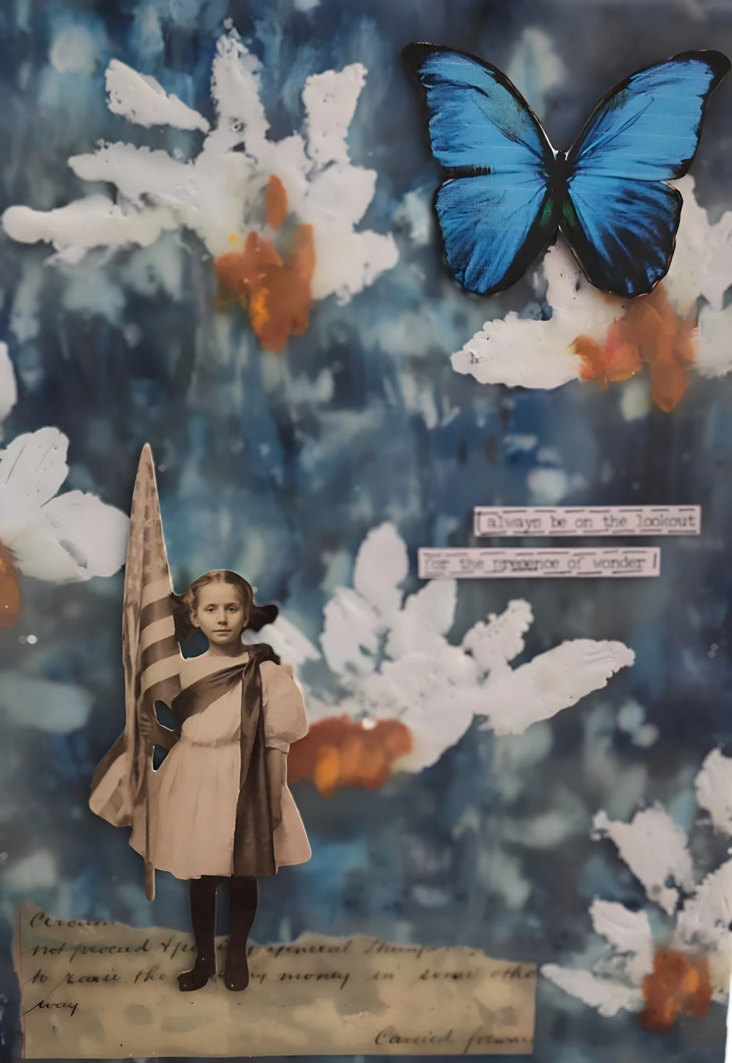 carol cook  copy.jpeg