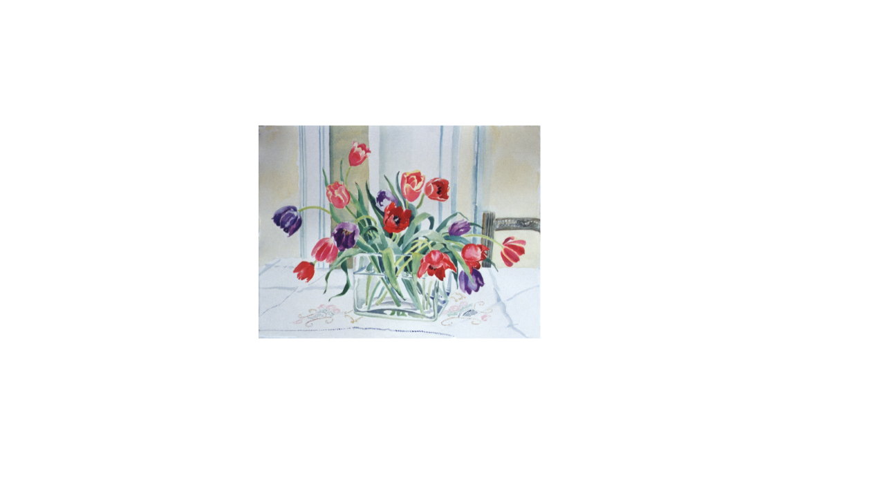 canva tulip.png