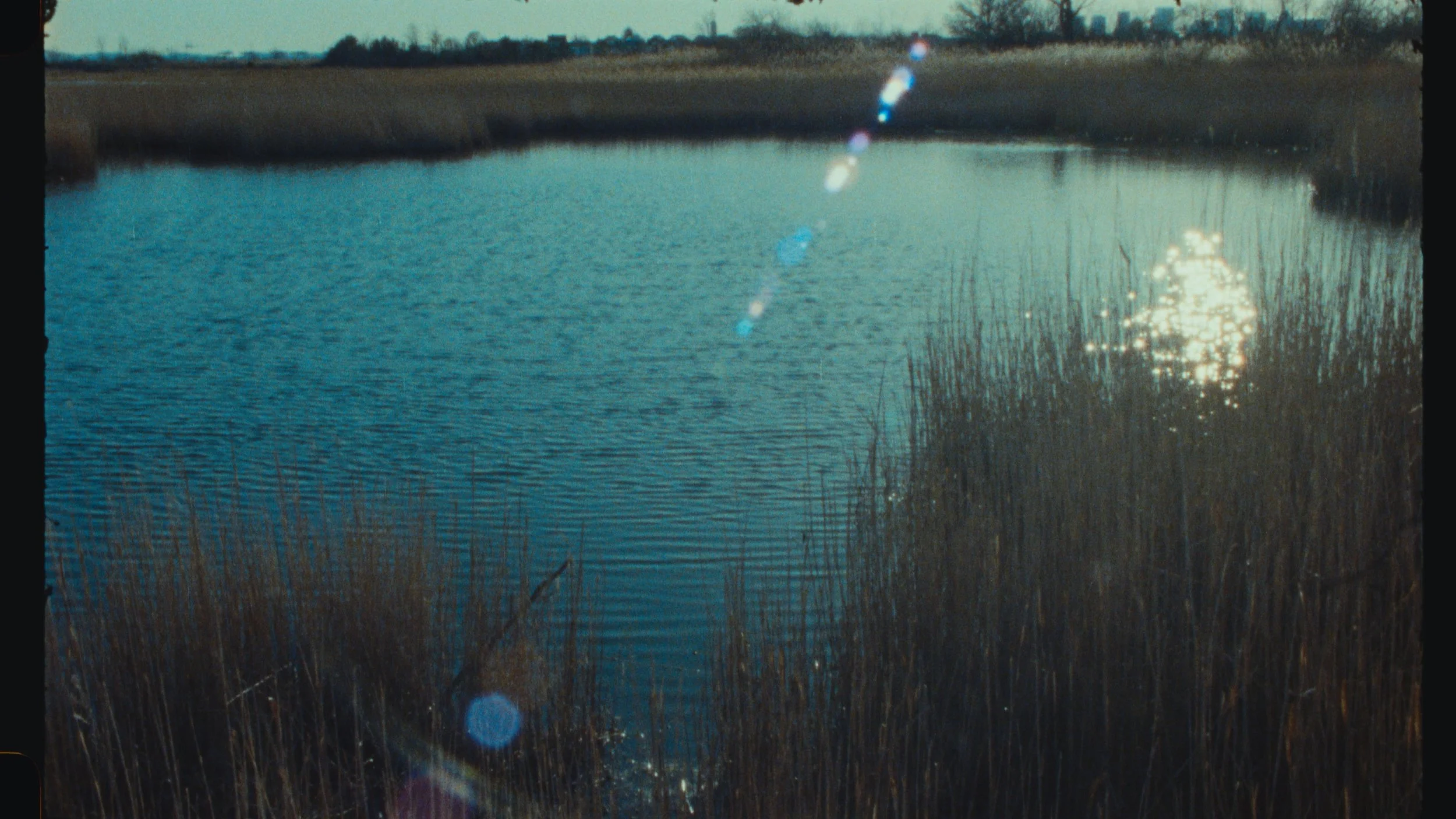 Belle Isle Marsh (2023)