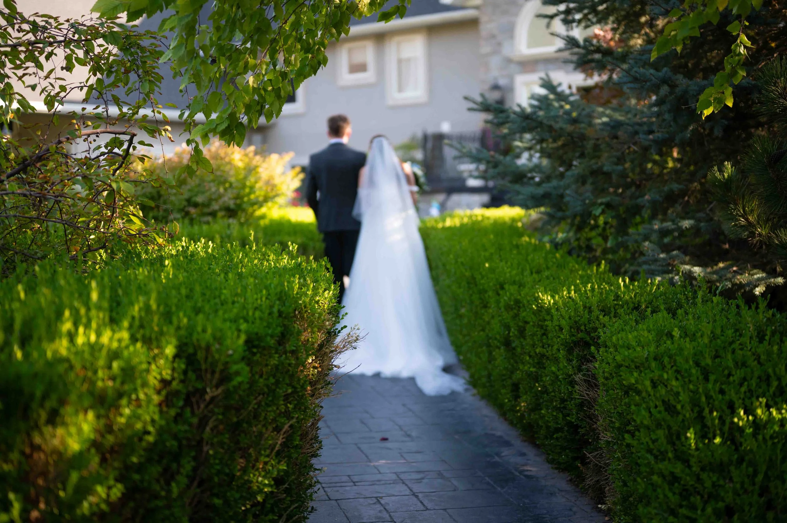 A Quiet Moment in the Garden