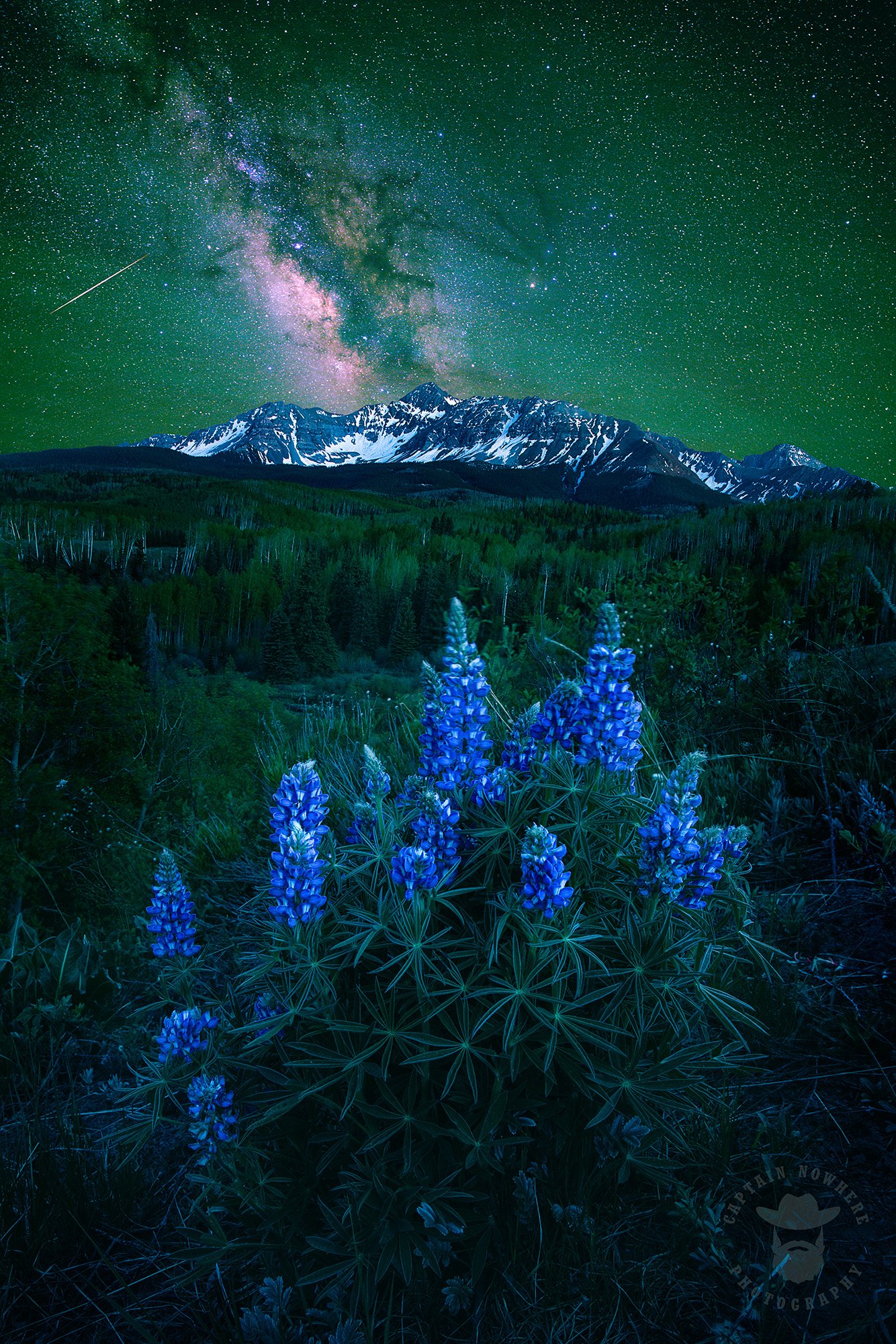Milk of the Lupine