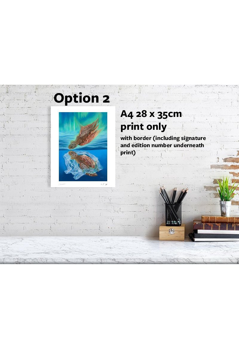 28 x 35cm print only.jpg