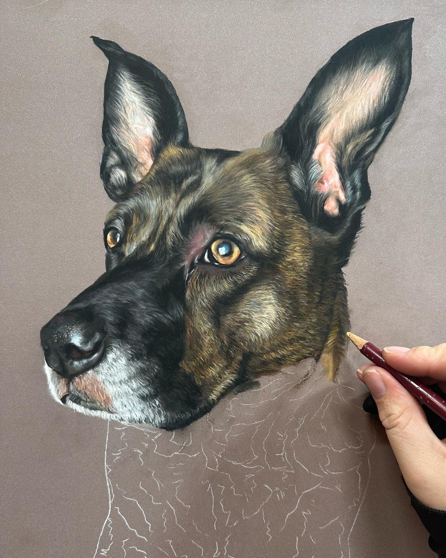 Here is Prudence 🐾 I didn&rsquo;t take particularly good progress photos earlier on, which means you get to see her beautiful face straight away 🥰

Pru is the last of my Christmas commissions to share with you (it seemed weirdly fitting to share he