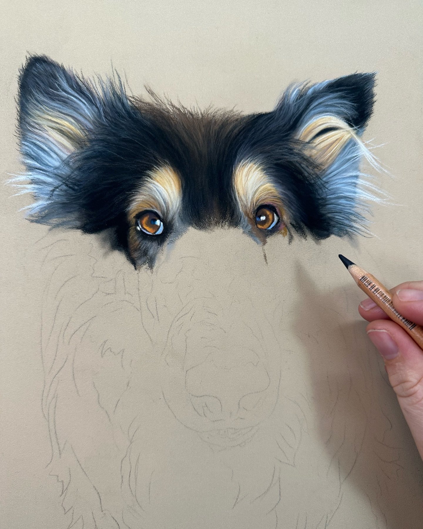 This is the start of beautiful Luna 🥰 she was such a joy to draw because there were so many stunning colours involved (and she&rsquo;s beautiful ❤️)!

If you&rsquo;ve been following me for a while, then you know I love colour and making my portraits