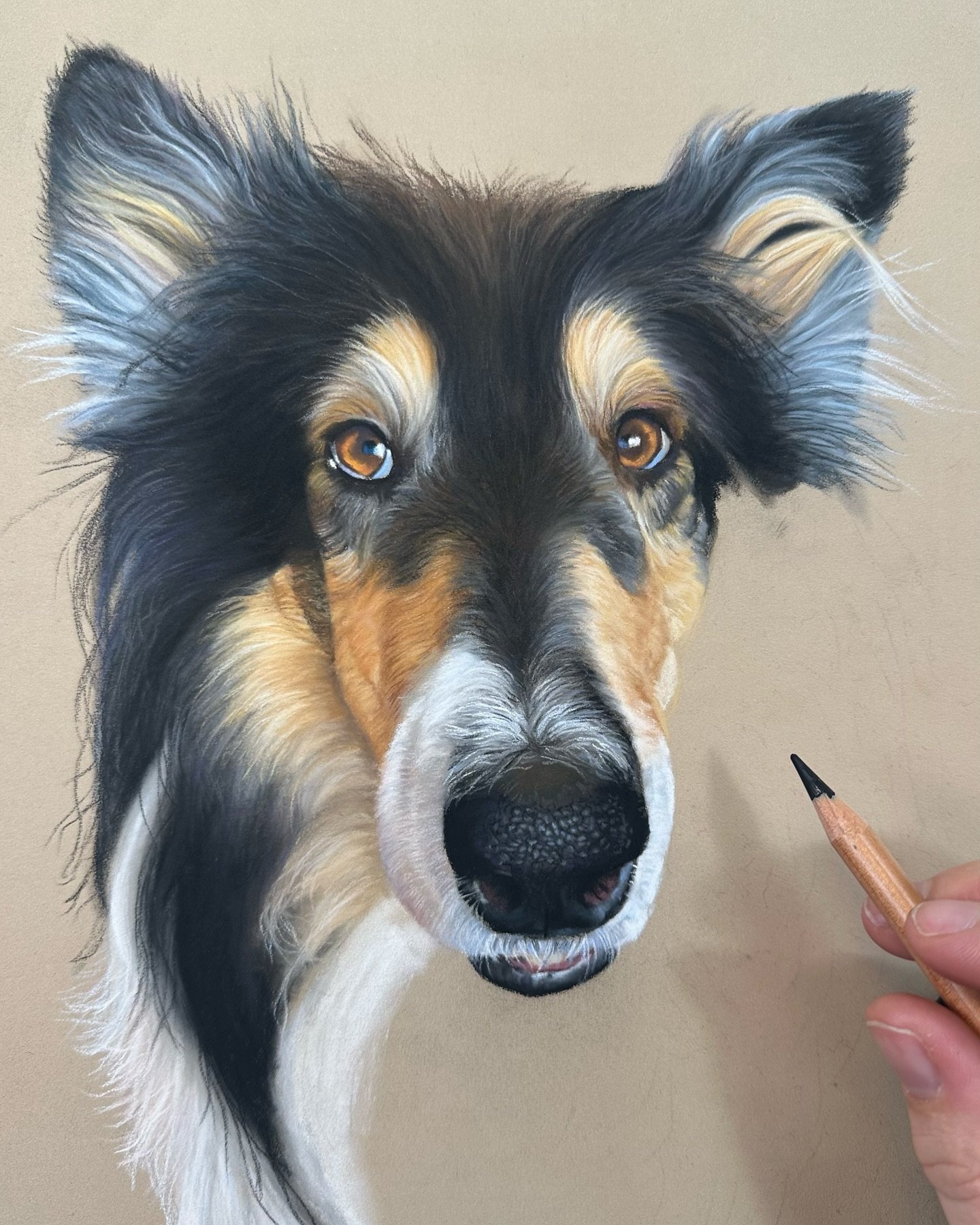 How gorgeous is this girl 🥰 the lovely Luna almost finished - I couldn&rsquo;t resist putting up another progress picture before showing the finished piece! 

I absolutely loved drawing this portrait! She flowed so beautifully. Sometimes portraits d