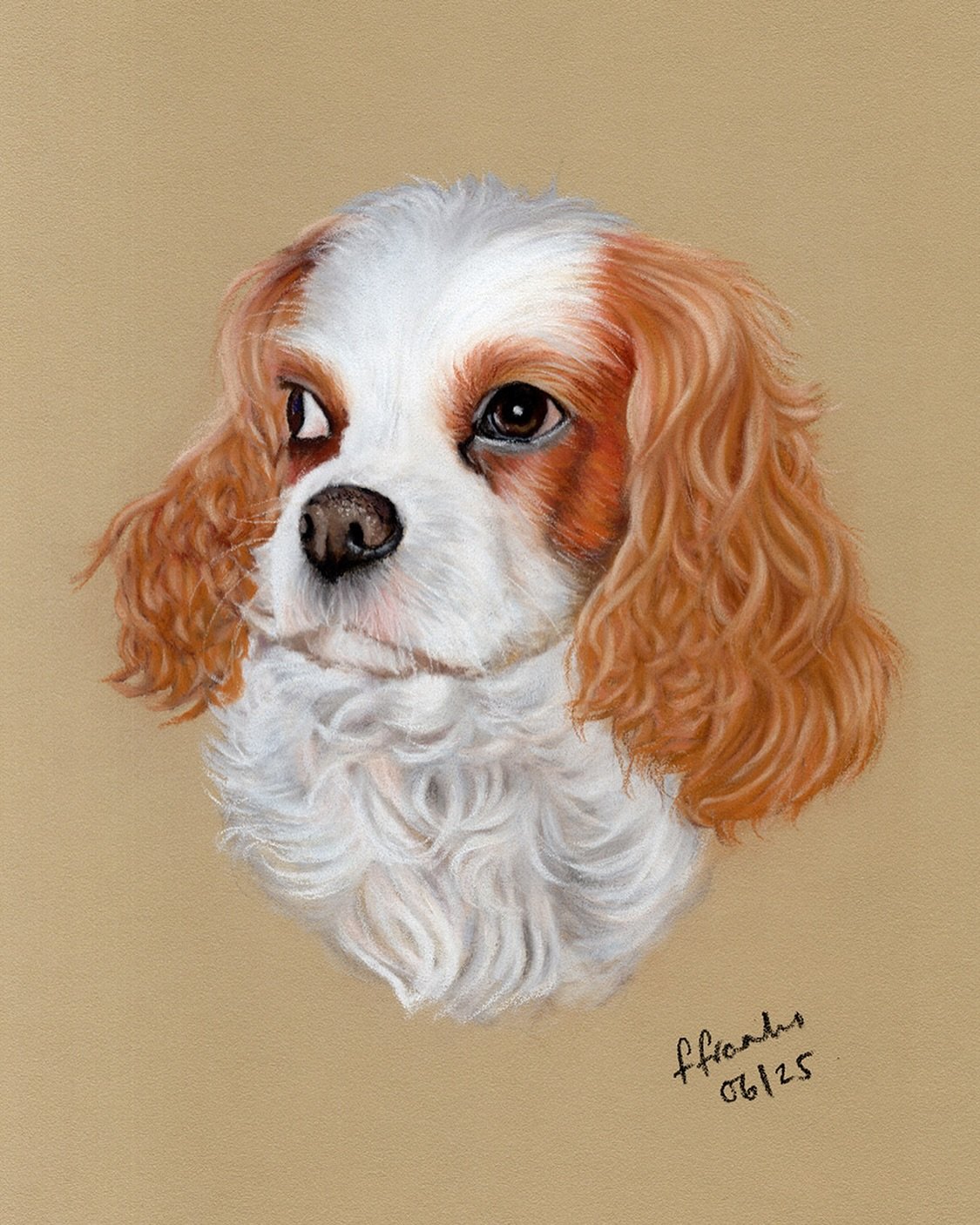 Bubbles 🫧🐾🧡 drawn from an older photograph, this was a very special memorial portrait 🌈 drawn for the same customer I drew Monty for ✍️ when I sent over a photo to check I received the most lovely feedback &lsquo;It&rsquo;s like a mirror image of