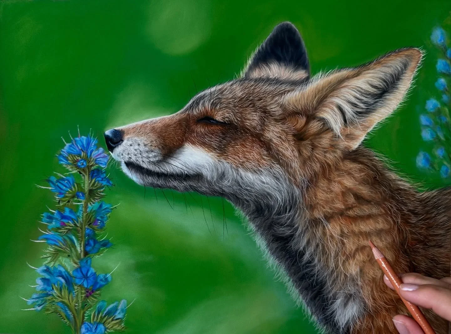 The fox drawing is complete and all four parts of this tutorial are live on my Patreon channel ✍️ 

This fox needs a name, do you have any suggestions? 🦊 

The summer holidays are coming to an end and I&rsquo;m hoping go get lots of time back at my 
