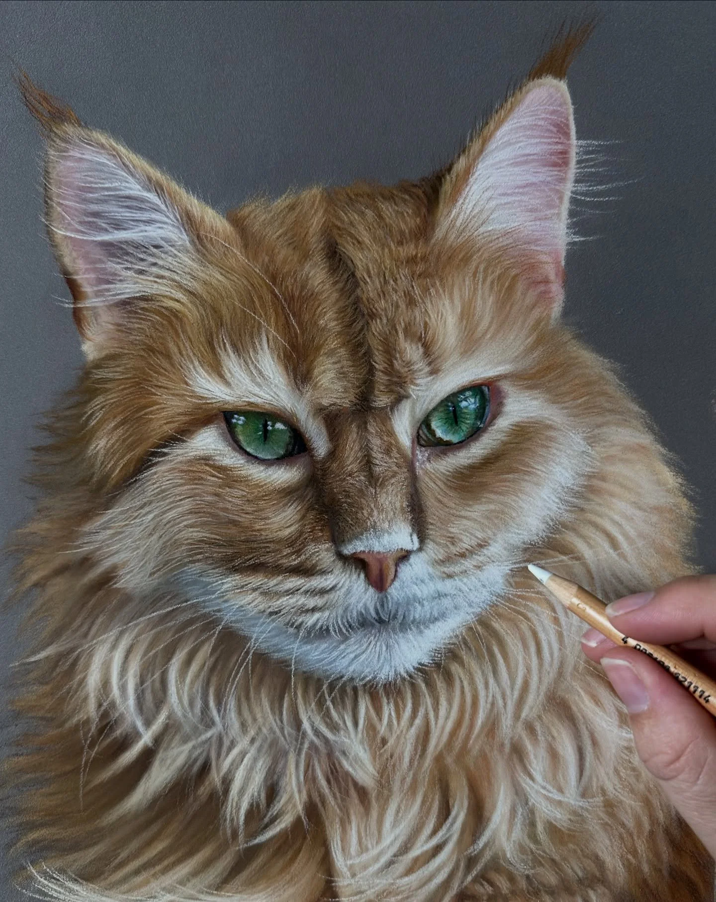 It&rsquo;s International Artist&rsquo;s Day today, so a great day to share the finished Maine coon cat I have been drawing for Patreon. Part three of the tutorial went live this morning ✍️

Happy Artist&rsquo;s day to all my lovely art friends! I lov