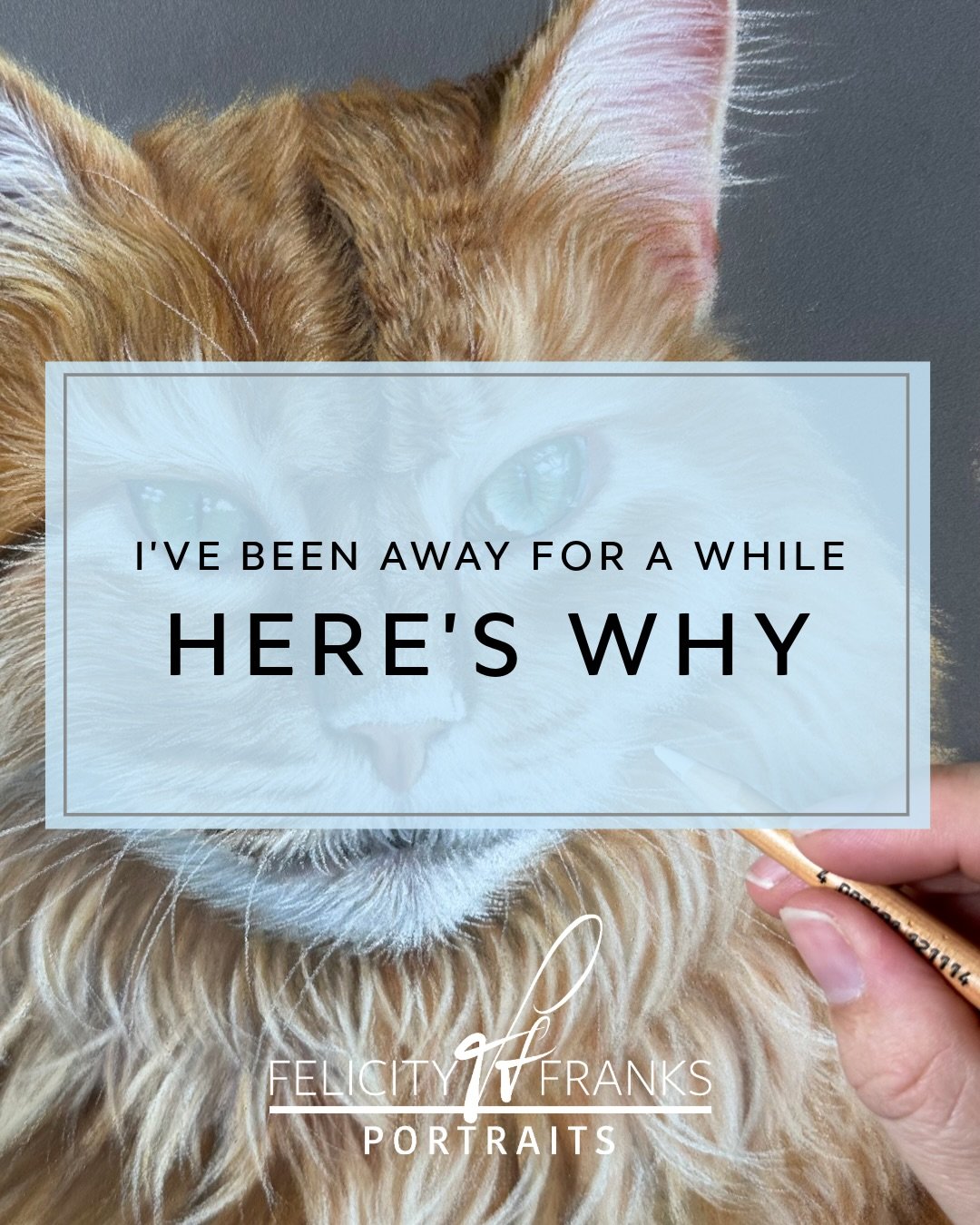 There&rsquo;s been a lot going on behind the scenes this year, here&rsquo;s a small insight into what&rsquo;s been happening! I look forward to catching up with everyone 💕