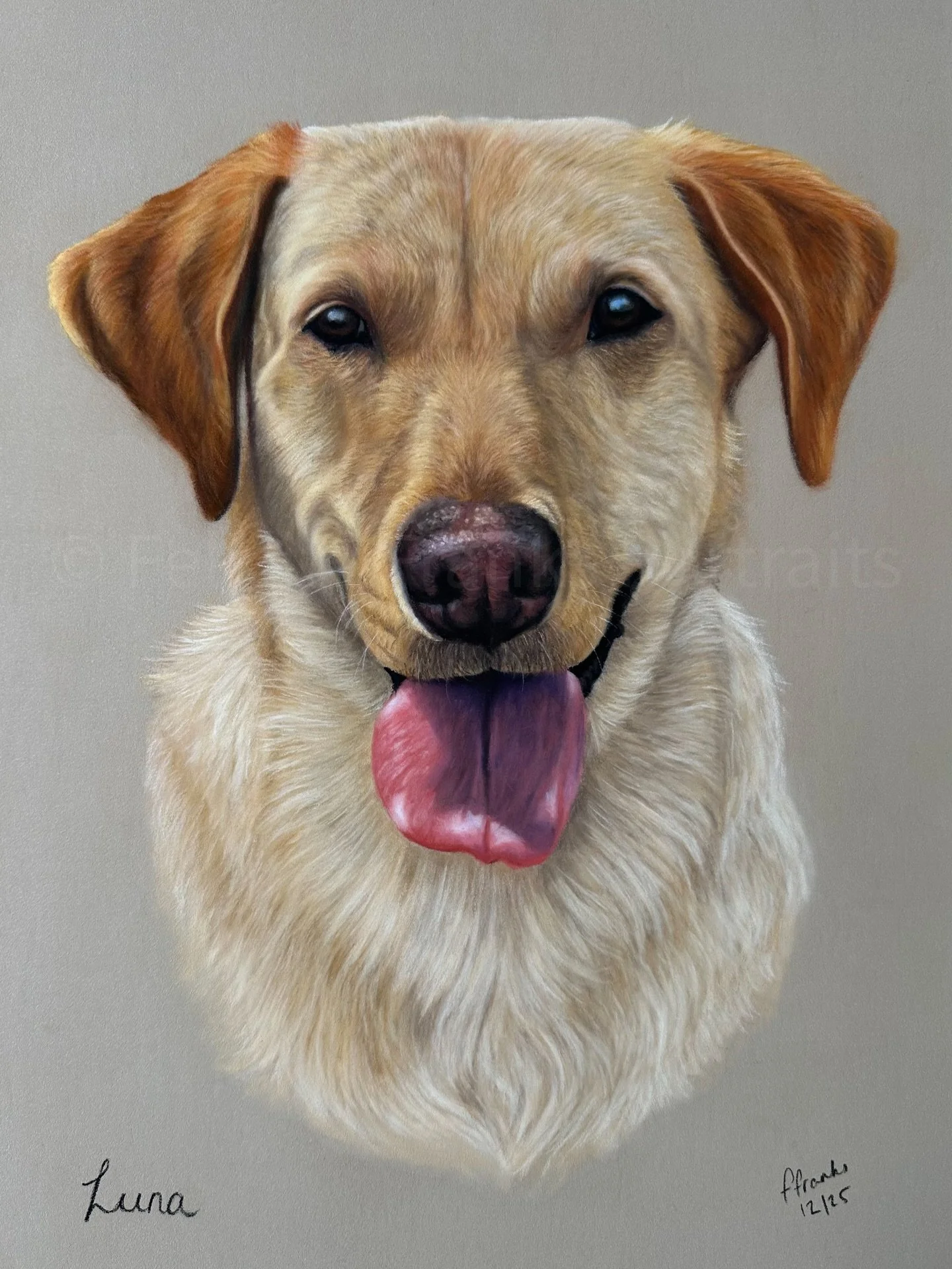 This is Luna 💛 and she&rsquo;s very special as she was my final portrait in my (old) studio! If you swipe, I&rsquo;ve included some progress photos and a photo of me holding her portrait in the old studio - my last photo in there, the room that help