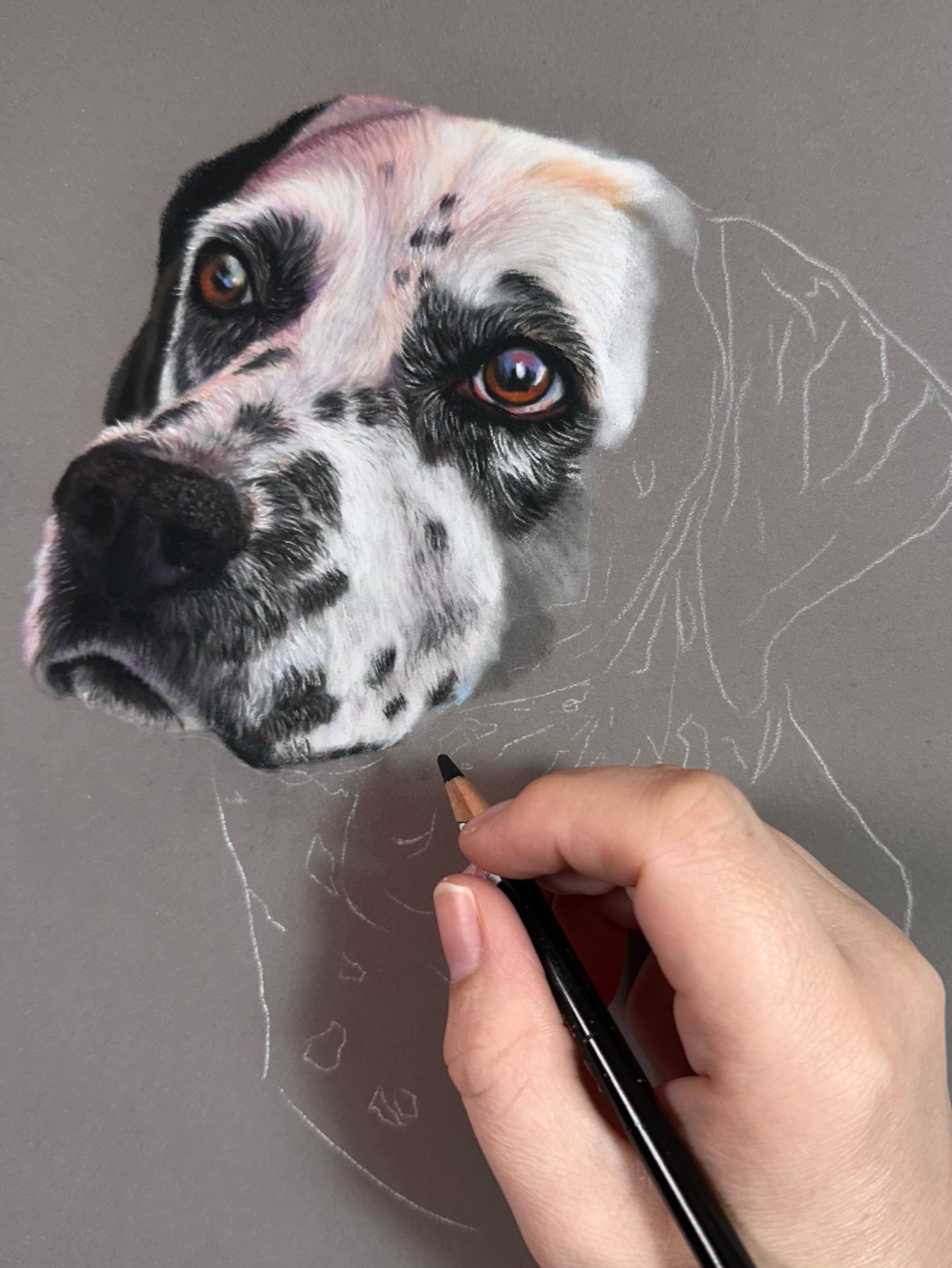 I&rsquo;ve been doing a bit of a paper experiment for my latest Patreon tutorial - if you swipe you will see what looks almost like an identical drawing! I&rsquo;m doing these two Dalmatians at the same time to see the differences I notice between Ca