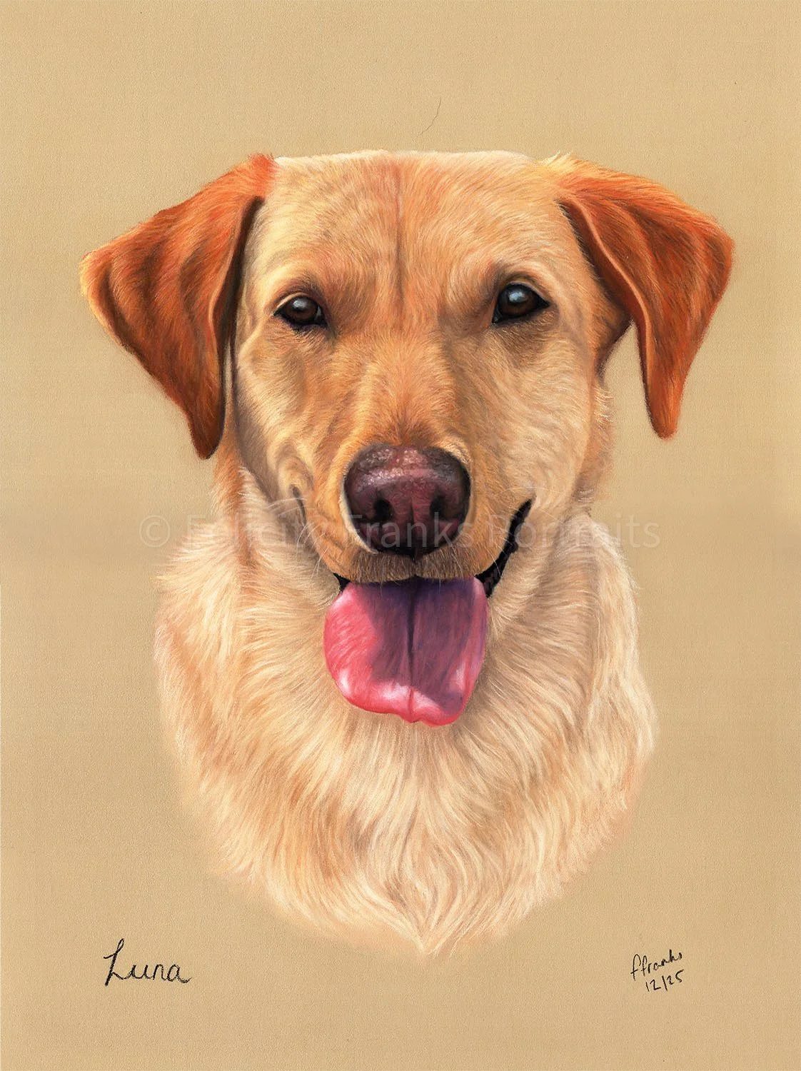 Dog Pet Portrait of Luna - Yellow Labrador Pet Portrait -  30 x 40cm Portrait in Pastels