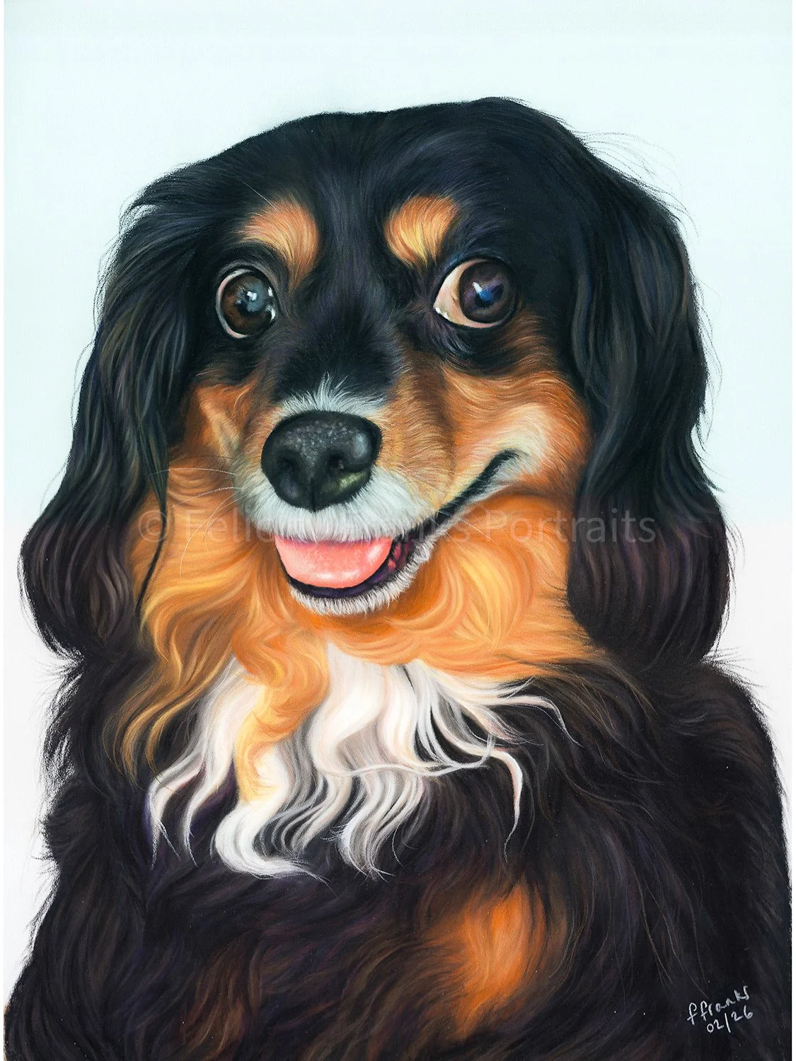 Dog Pet Portrait of Zoe - Long Haired Dachshund Pet Portrait -  30 x 40cm Portrait in Pastels