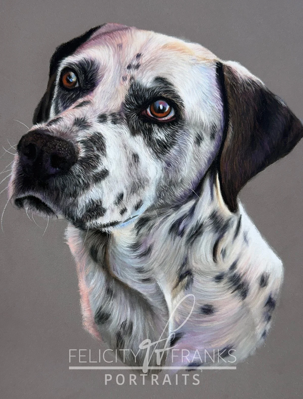 Drawing of Dalmatian in soft pastels. real time tutorial on how to draw a Dalmatian. lifetime access purchase.
