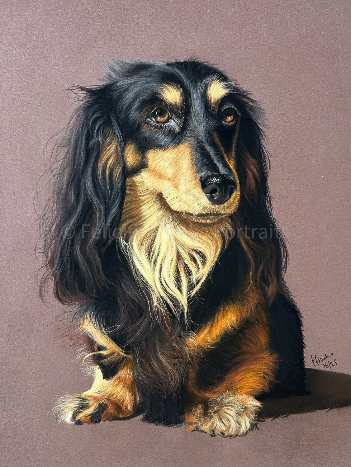 Dog Pet Portrait - Long Haired Dachshund Pet Portrait -  30 x 40cm Portrait in Pastels