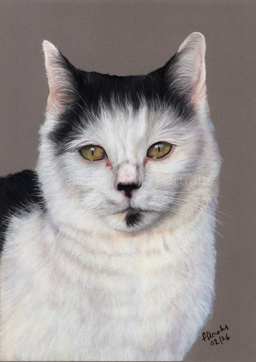 Cat Pet Portrait of Evie - Black and white cat who belonged to Anne Twist - 15x21cm Portrait in Pastels