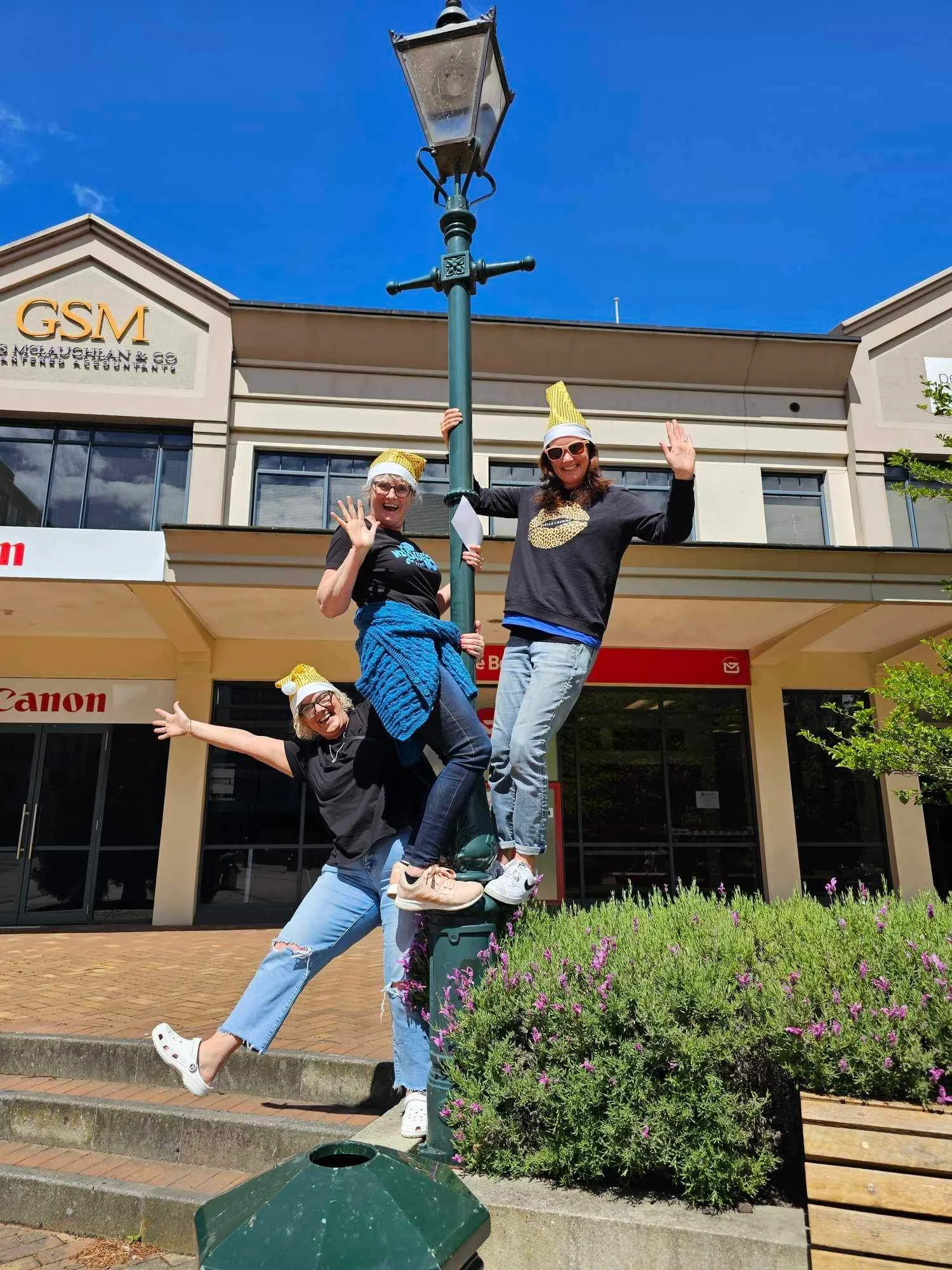 HUSTLE Wakari School 1 - lamp post.JPG