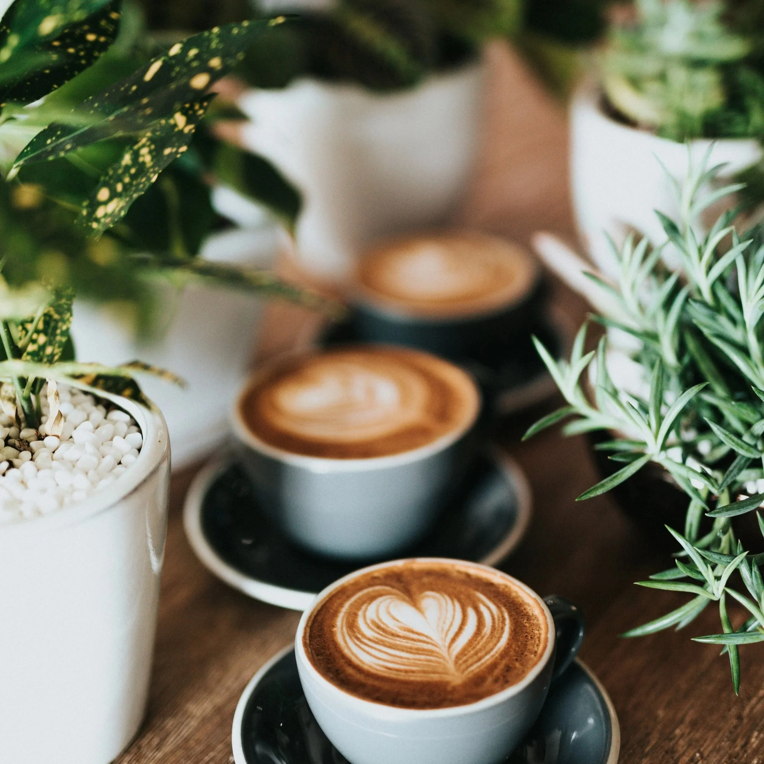 coffee for health benefits