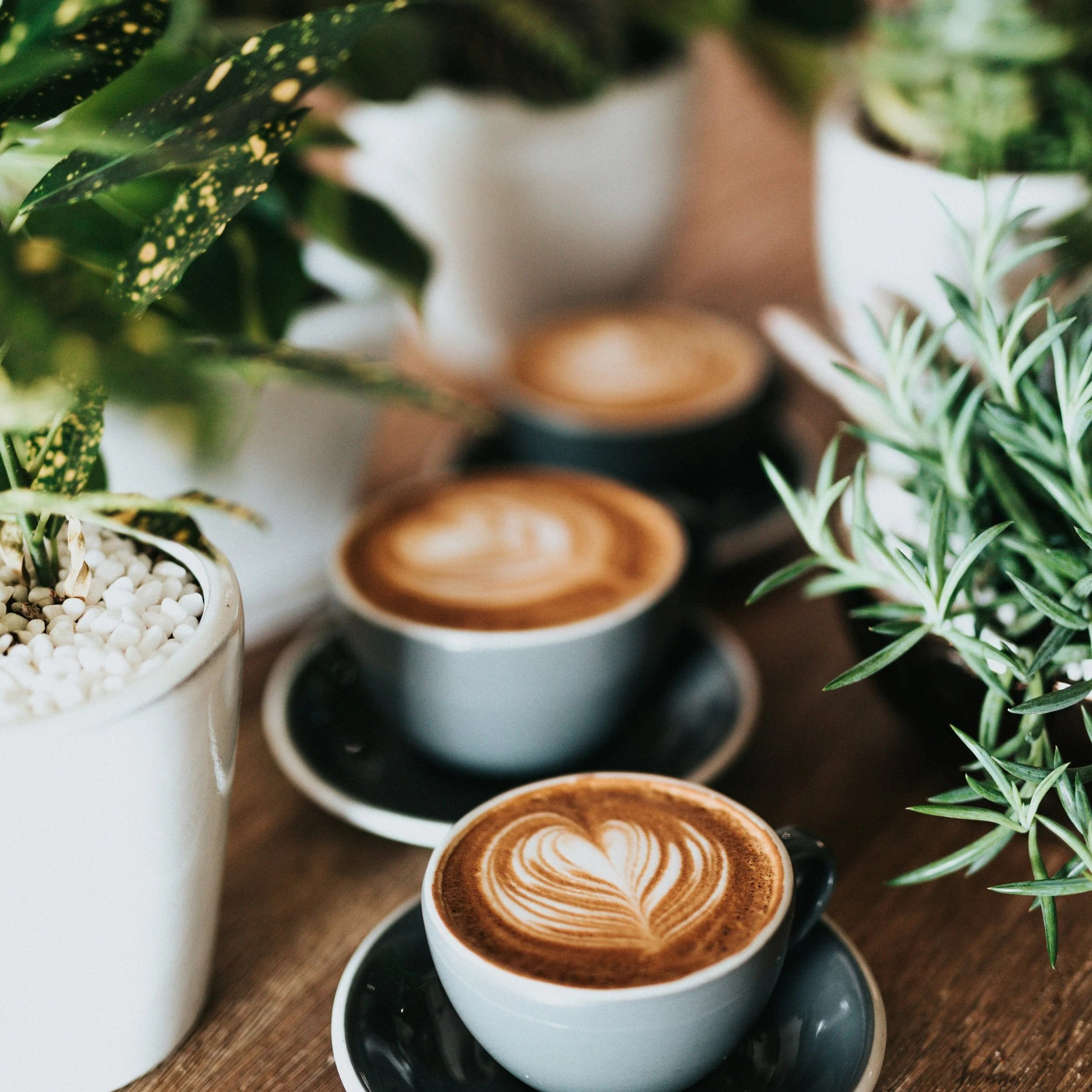 coffee for your liver health