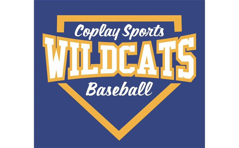 July 2026 Summer Baseball Camp - Coplay Sports