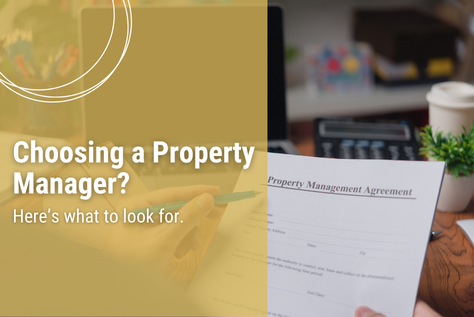 How do I compare property managers in Christchurch?