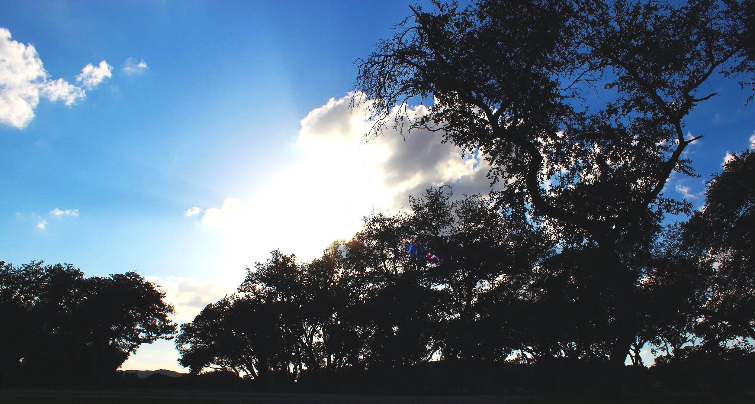 Utopia Tx RV Park Utopia Oaks