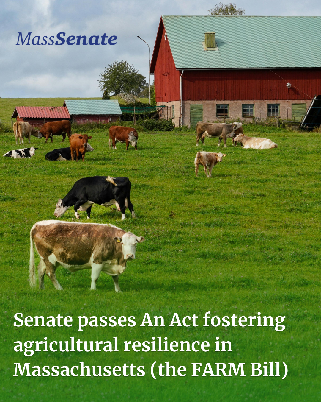 Senate Passes FARM Bill to Support the Farms That Feed Massachusetts