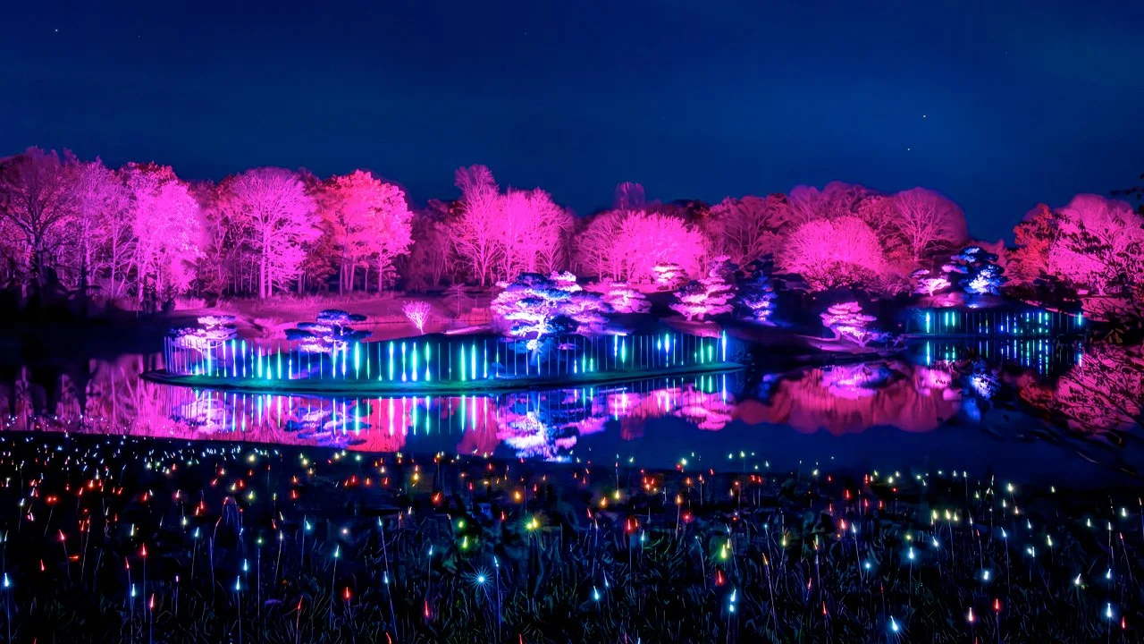 20261208 CBG Winter lights.jpg