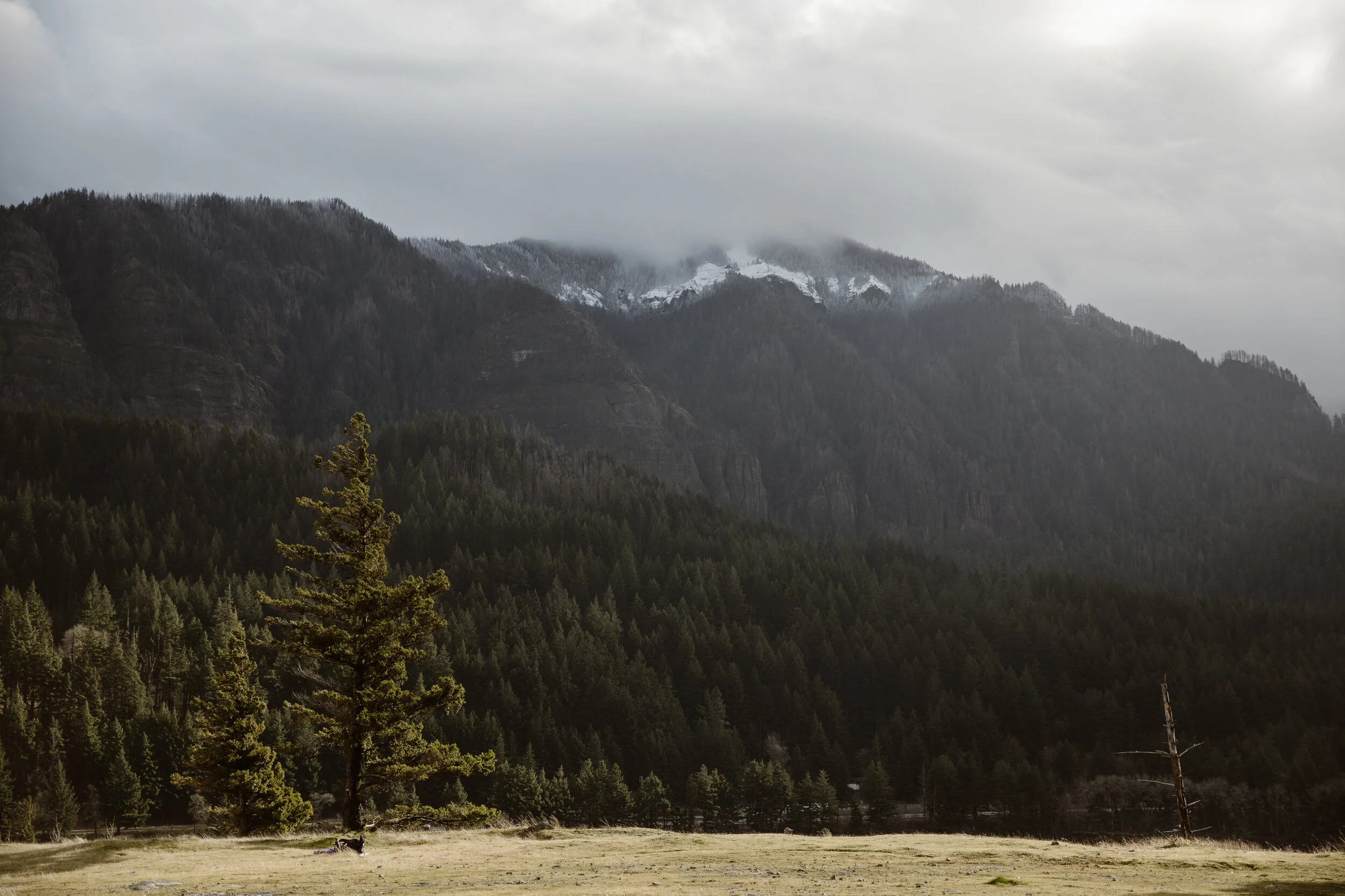 Mt. Adams Elopement Photographer