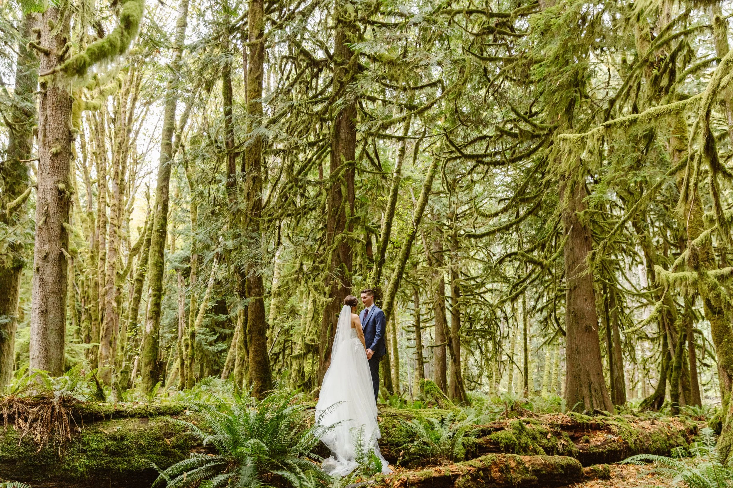 Lake Crescent Elopement 