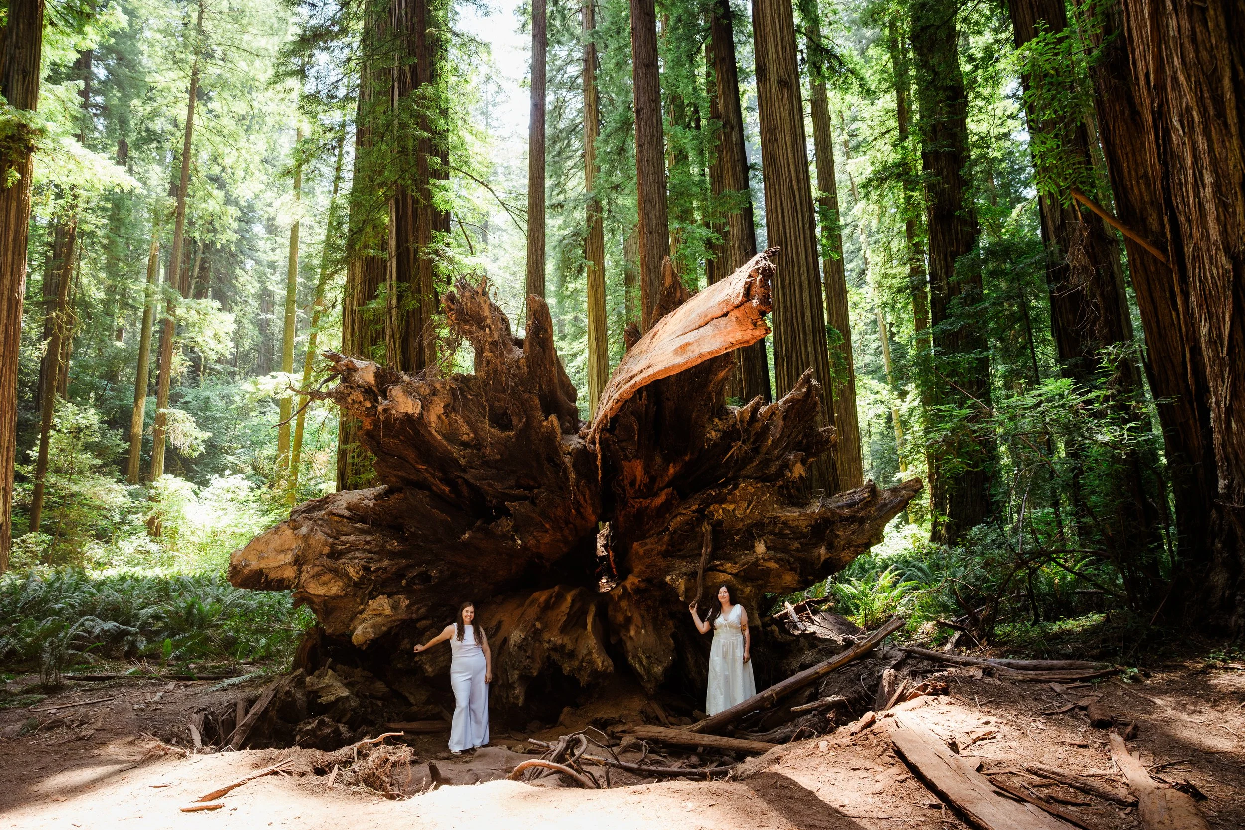 redwoods-elopement-photographer-12.jpg