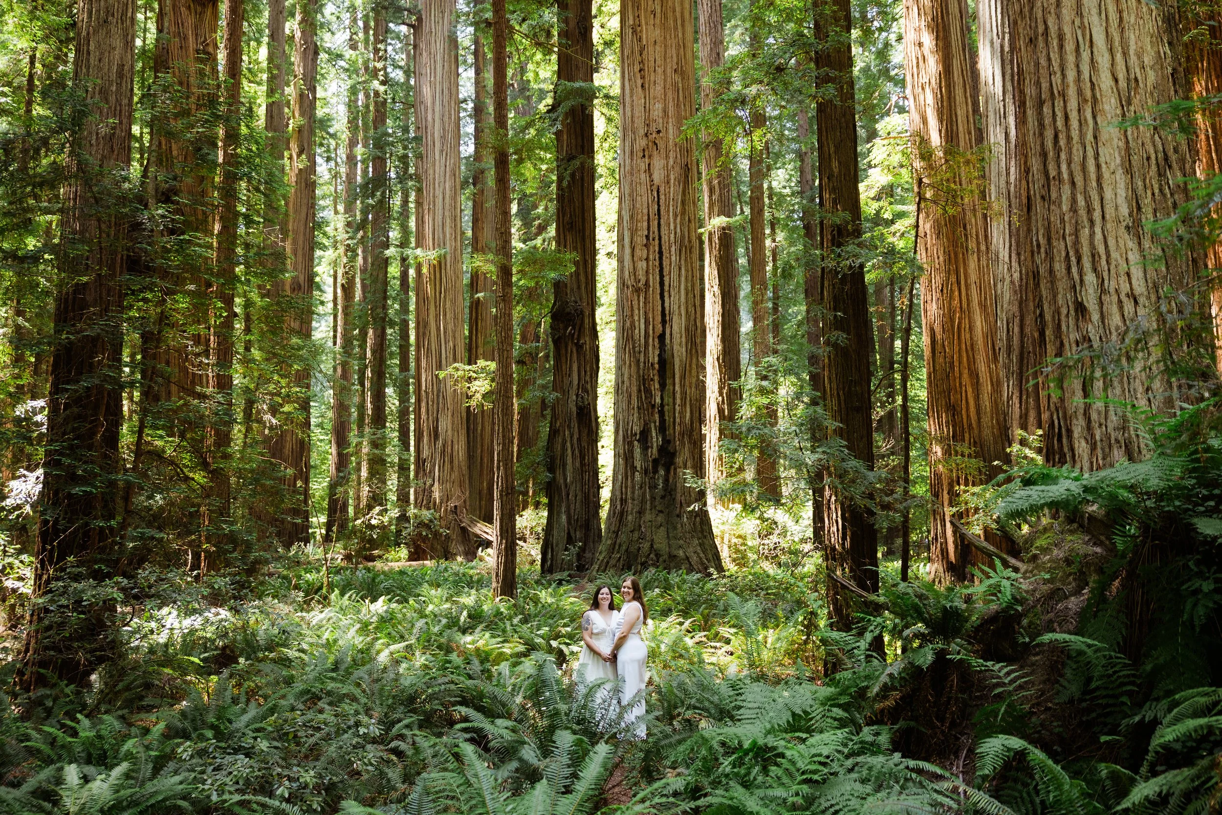 redwoods-elopement-photographer-3.jpg