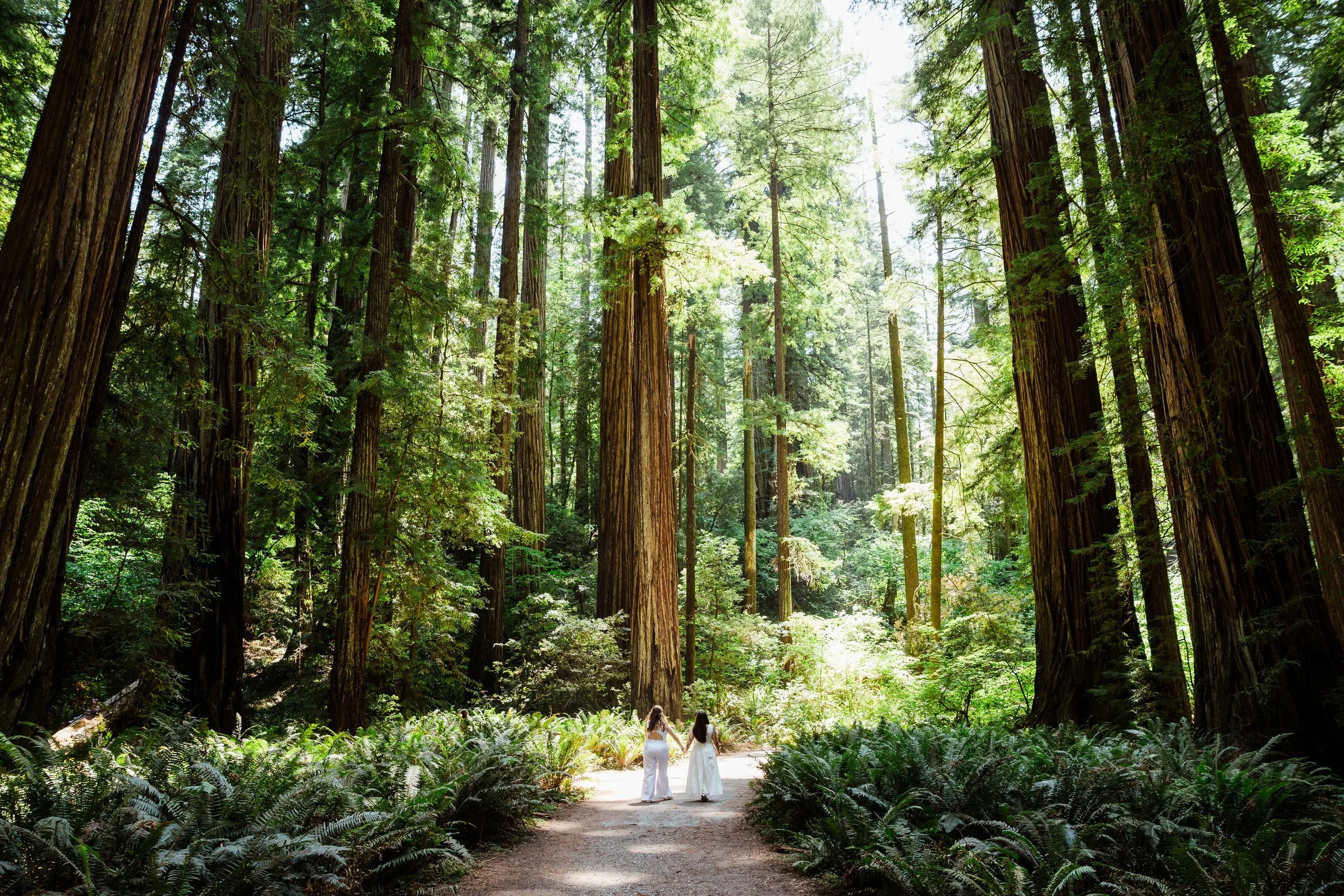 redwoods-elopement-photographer-13.jpg