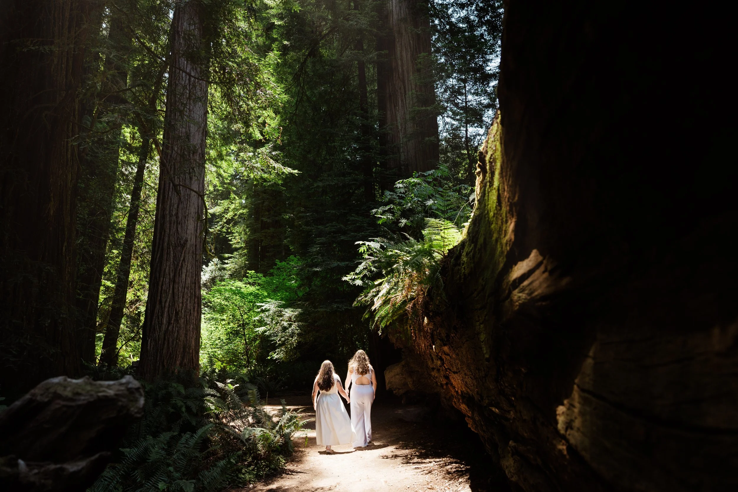 redwoods-elopement-photographer-11.jpg