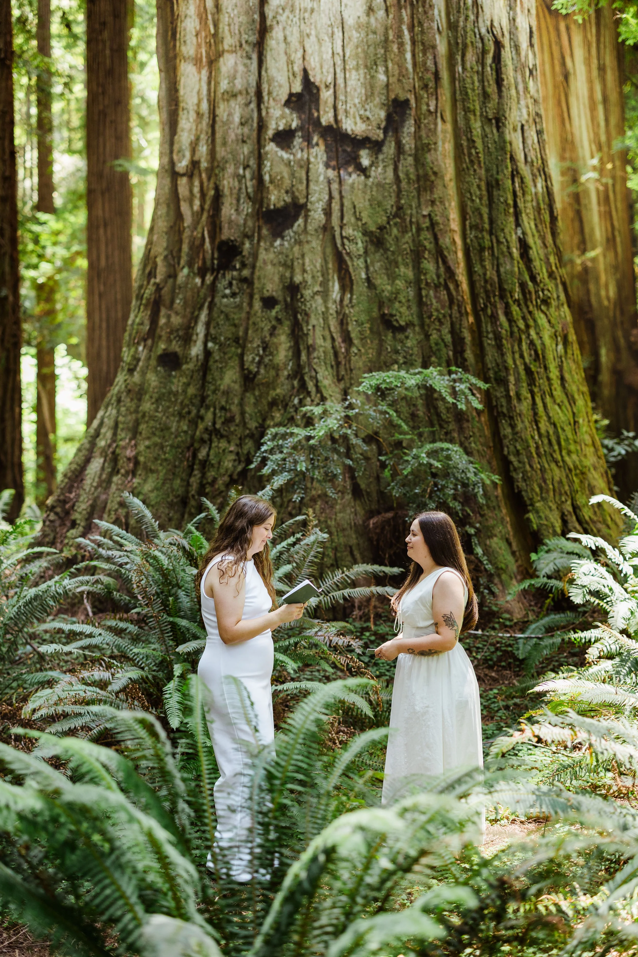 redwoods-elopement-photographer-10.jpg