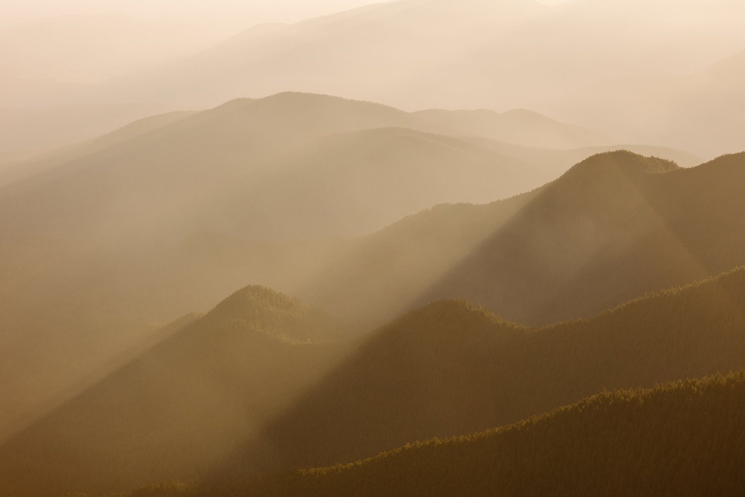 Sunset Olympic National Park – A Haven of Natural Wonder