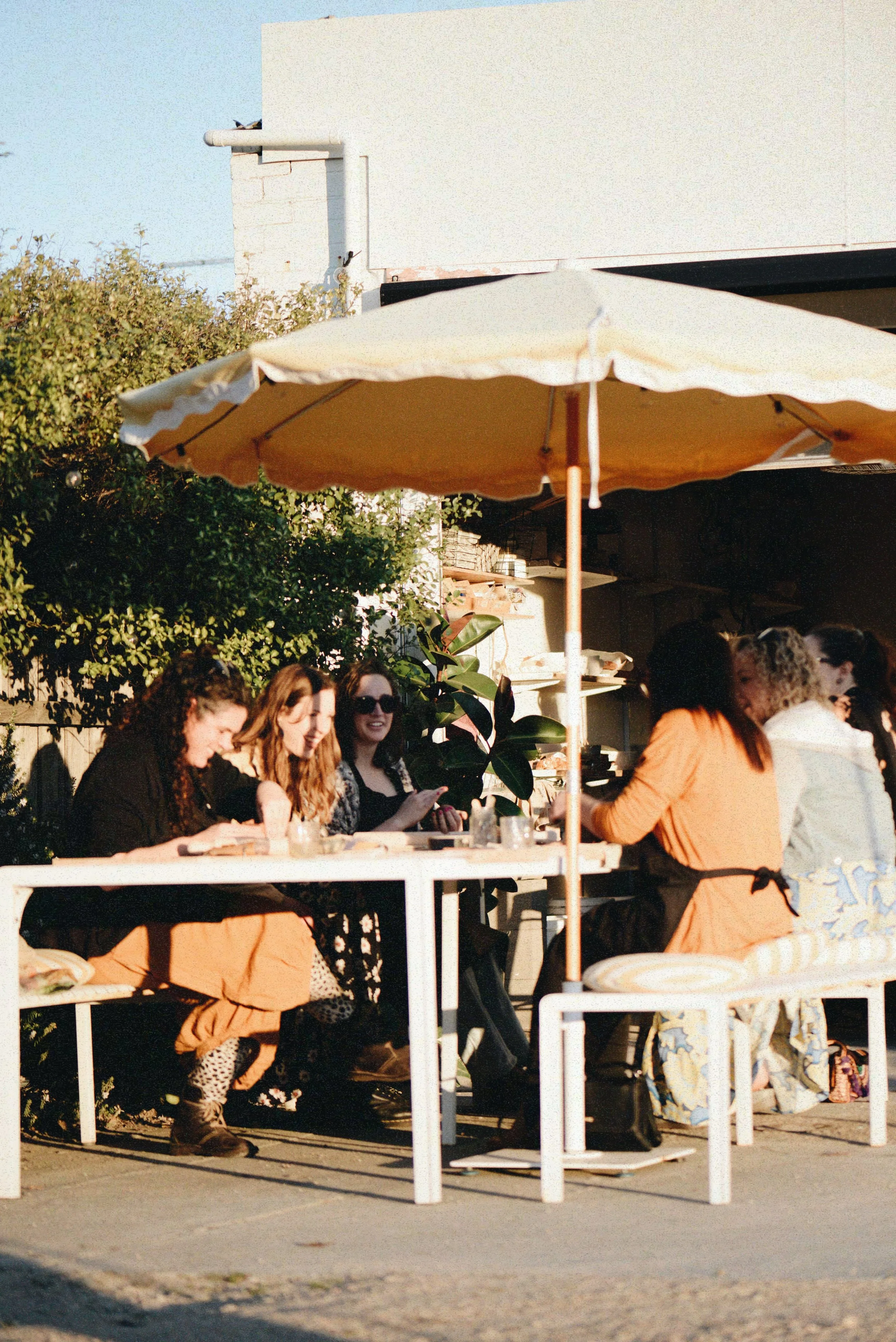 Photo 10-8-2024, 5 54 09 PM.jpg