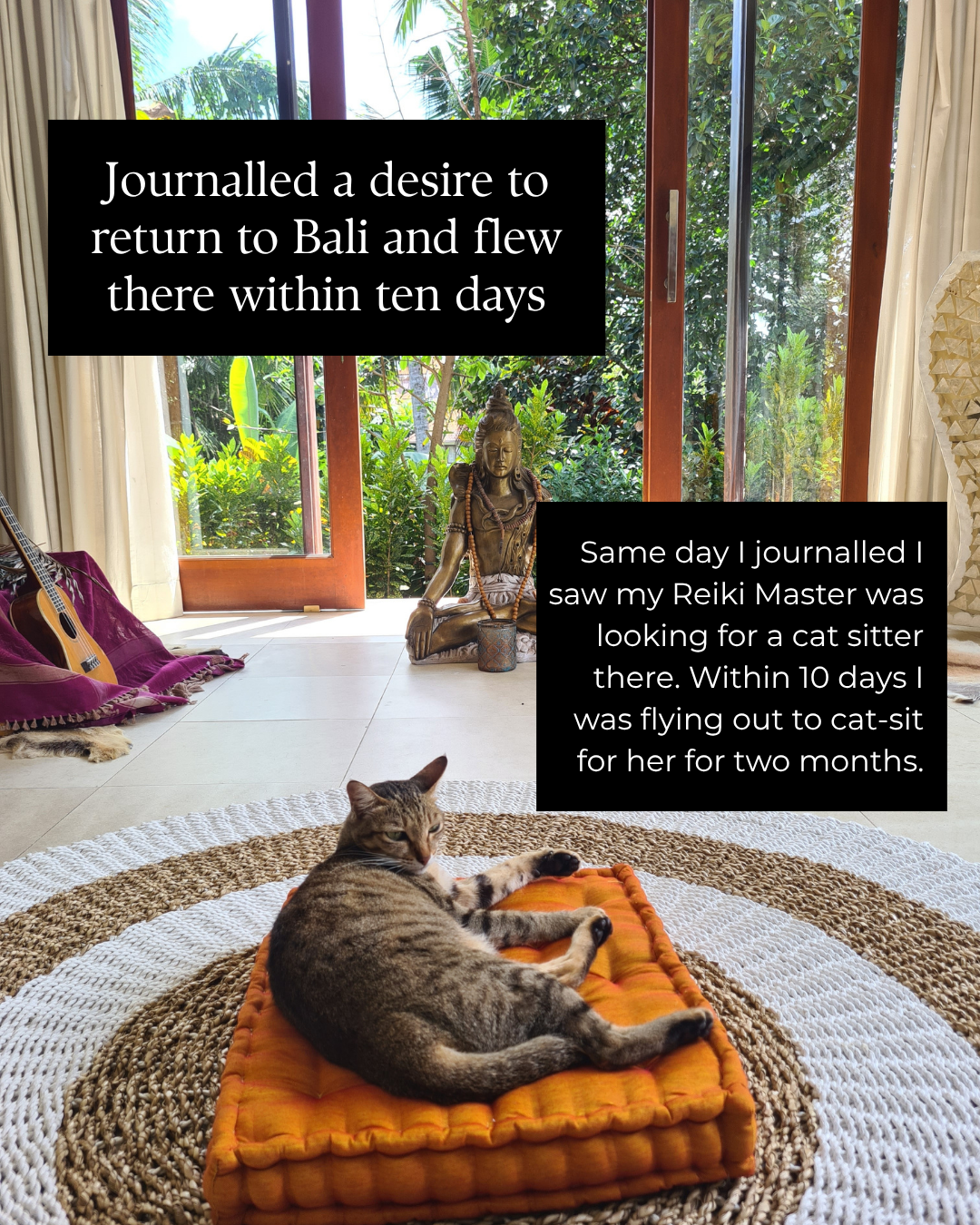 I journalled a desire to return to Bali. The same day, I saw my Reiki Master was looking for a cat sitter there. Within ten days I was flying out to cat-sit for her for two months.