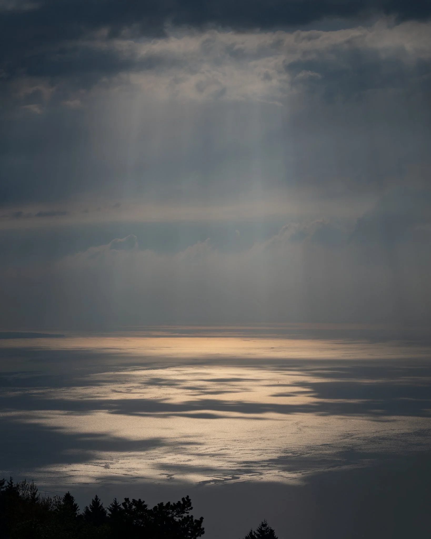 74L08063.jpg