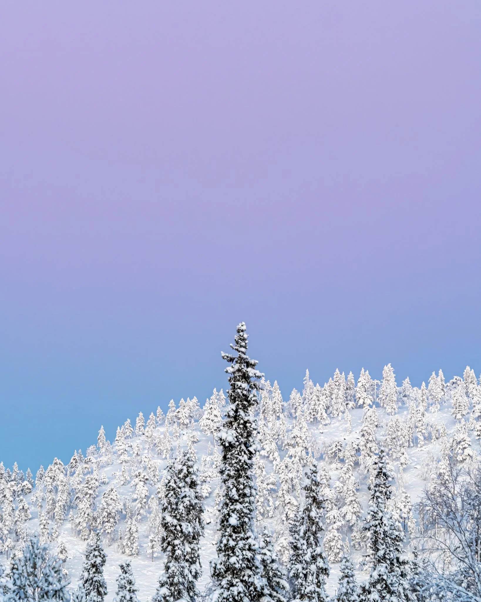 74L07905-HDR-Edit.jpg