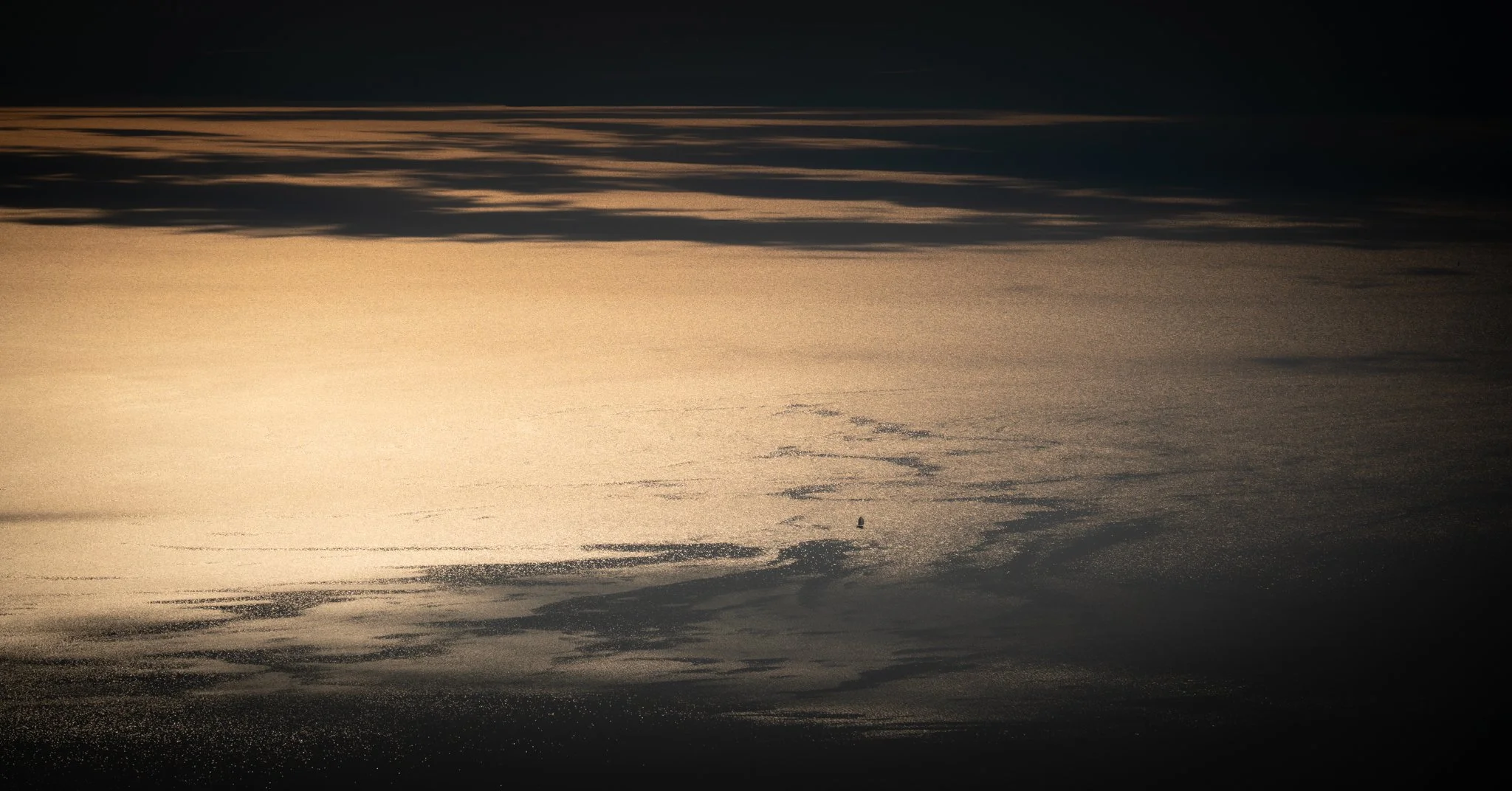 74L08077.jpg