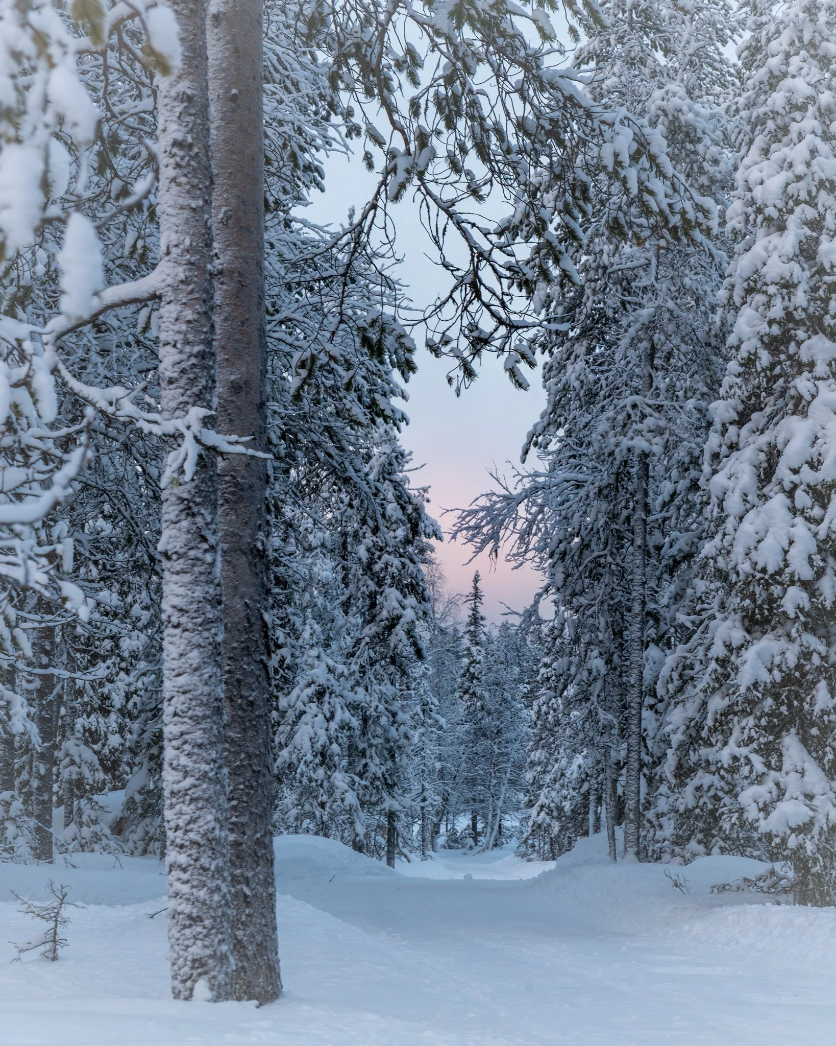 74L07489-Edit-2.jpg