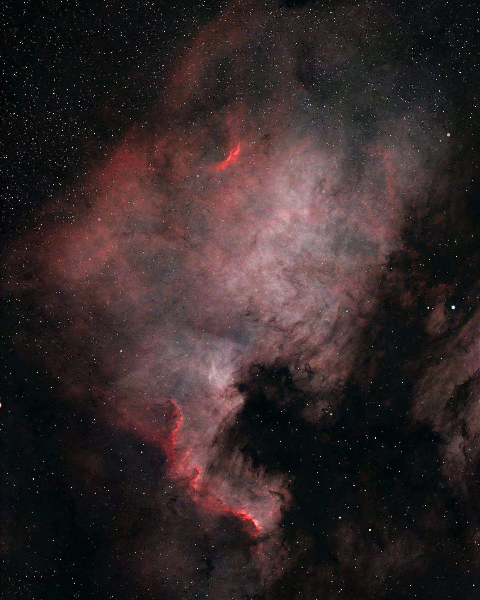 NGC 7000 - North America nebula Var. 2 - 2'590 LYR