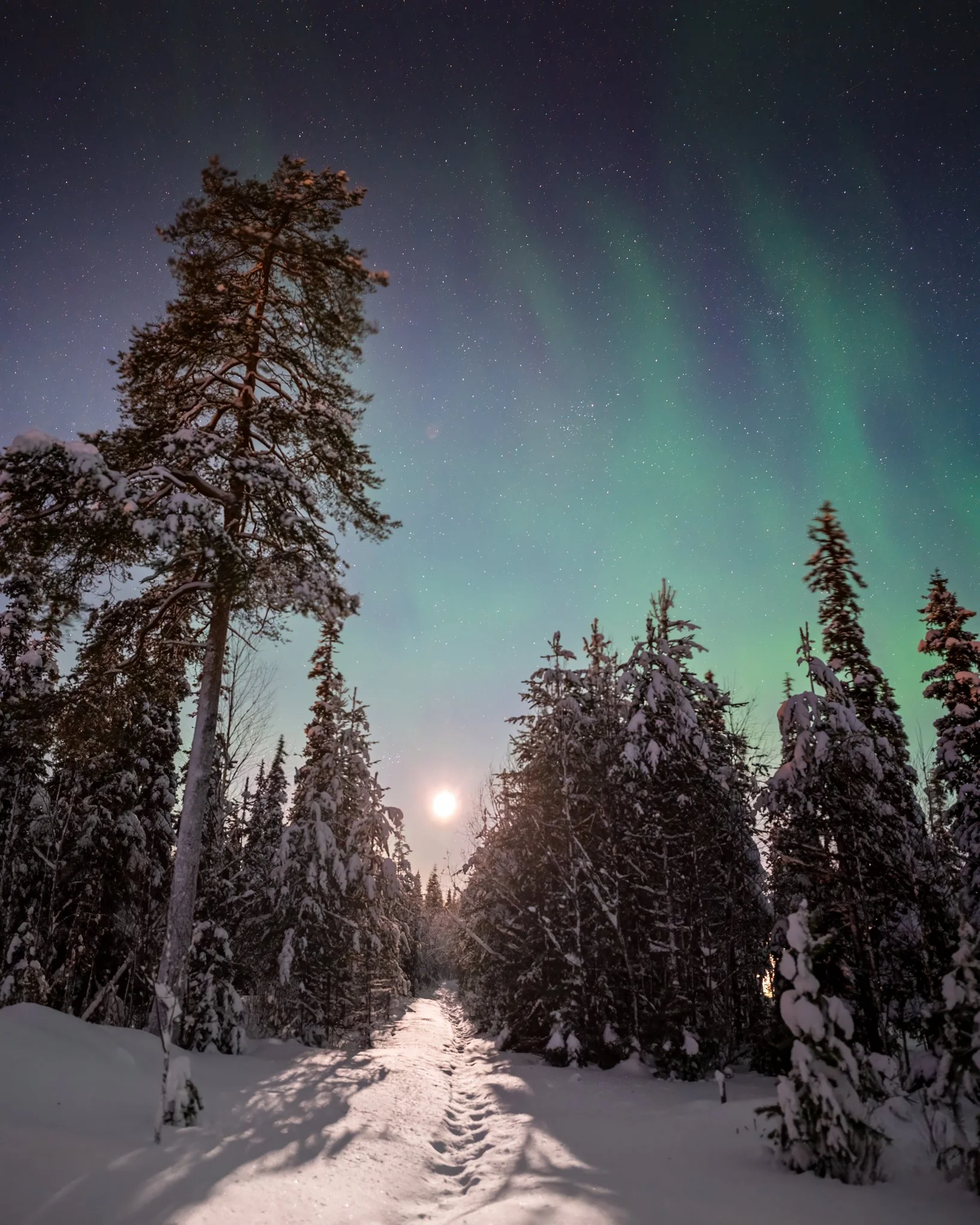 74L07952-HDR-Edit-1-Edit.jpg