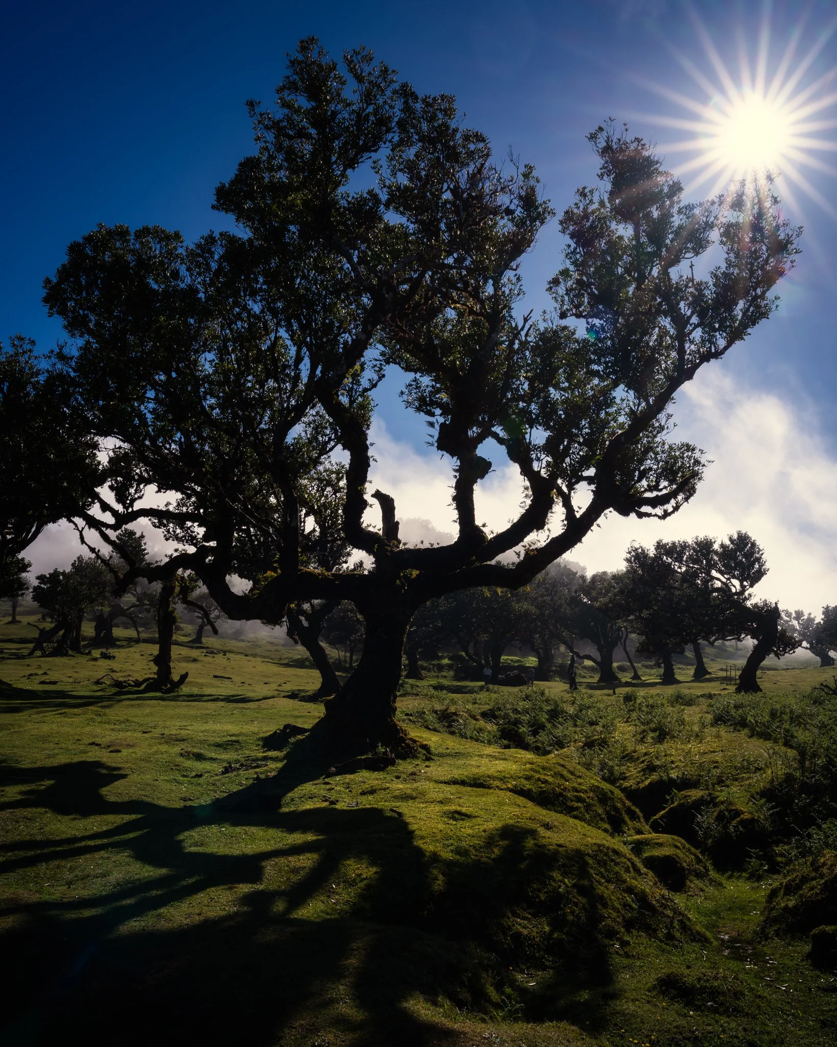 _7R38069-HDR.jpg